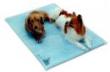 【送料無料】ケーナインクーラー★K-9-S 小型犬★SKKNC-09♪ペット用冷却シート
